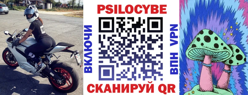 Купить  Туран  Псилоцибиновые грибы мицелий 